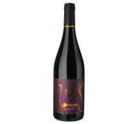 Carignan 2024 - Maison Auzias Carcassonne