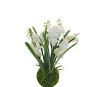 Carillon a per VENTO per SFERA muschio bianco per composizioni bonsai uso