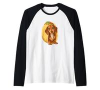 Carino Adorabile Bassotto Weiner Cane Taco Maglia con Maniche Raglan