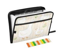 Carino anatroccolo prateria striscia fiore tasca fisarmonica file organizer 13 tasche formato A4 lettera con chiusura a cerniera per forniture per ufficio