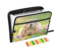 Carino animale in verde e fiore Fisarmonica File Organizer 13 tasche espandibile cartella con etichette Bill ricevute Documenti Holder