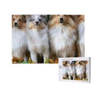 Carino cane Shetland Sheepdog Yellow Leaf,Puzzle in legno da 1000 pezzi per famiglie, puzzle per adulti e adolescenti