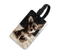 Carino Chihuahua, etichette per bagagli per valigie, con scudo per la privacy, borsa da viaggio, targhetta identificativa, per uomini e donne, zaino, stile nero