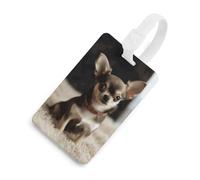 Carino Chihuahua Etichette per bagagli Porta carte per bagagli per valigie con scudo per la privacy Borsa da viaggio Tag ID per uomini e donne borsa zaino bianco stile