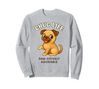 Carino Chug Breed Dog Puppy Chihuahua Pug Hybrid Cross Felpa