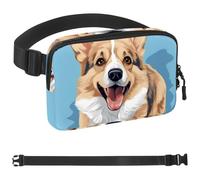 Carino Corgi Dog-1189 - Marsupio a tracolla per uomo e donna, marsupio per viaggi, casual, passeggiate, corsa, escursionismo, ciclismo, Multicolore 06, 1.5x9.0x5.9in/4x23x15cm