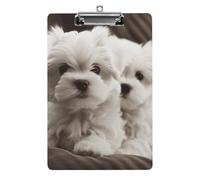 Carino cucciolo maltese Appunti Acrilico Carino Moda Appunti Decorativo, 31,8 x 21,6 cm Standard A4 Formato Acrilico Clip per Classe, Insegnanti, Forniture per Ufficio