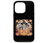 Carino gattini di Halloween in zucca con cappello da strega e pipistrelli Custodia per iPhone 13 Pro