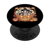 Carino gattini di Halloween in zucca con cappello da strega e pipistrelli PopSockets PopGrip Adesivo