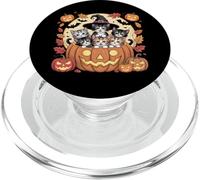 Carino gattini di Halloween in zucca con cappello da strega e pipistrelli PopSockets PopGrip per MagSafe