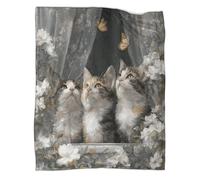 Carino gattino che guarda in alto sul davanzale Coperta Stampata in 3D Copriletto Di Design Biancheria Da Letto in Microfibra Morbida E Calda Biancheria Da Letto Per Divano 60x80inch(150x200cm)