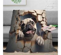 Carino il carlino Coperta Di Flanella,Cartoon Cane 3D Stampa Morbida Coperte Comfort Calda Microfibra Coperta,per Letto E Divano 40x50inch(100x130cm)