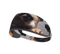 Carino Pet Pug unisex elastico fascia per capelli per sport all'aria aperta yoga corsa fitness