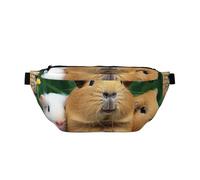 Carino Pet stampato Marsupio per uomo e donna, regolabile Marsupio Hip Marsupio da viaggio Borse a tracolla Sport Corsa Escursionismo Cintura Borsa