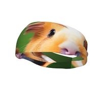 Carino porcellini d'India stile di stampa Funzionalità Sport Sweatband per uomo donna elastico traspirante fascia