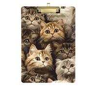 Carino Scottish Fold Cats Brown A4 Note Appunti Appunti Folio Plastica Plastica per Calcio Camion Driver Dimensioni 9 x 12