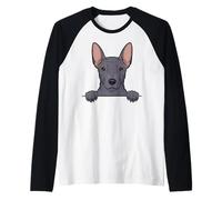 Carino Xolo Sbirciando Divertente Xoloitzcuintle Cane Messicano Senza Capelli Maglia con Maniche Raglan