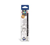 CARIOCA BLACK PENCIL | 42928 - Matite Triangolari da Disegno in Grafite 2H, 12 pezzi