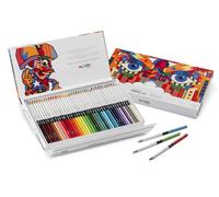 CARIOCA - 45204 - Matita colorata Color Pencil 4.0 - mina 4 mm - colori assortiti - Carioca Plus - conf. 40 pezzi - 100227 - Conf. da 1 Pz. - 45204