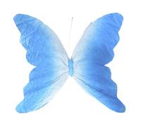 CARISSETT Farfalle tridimensionali di carta sfumata per la vetrina Fotografia Decorazioni del partito con la clip sul disegno commerciale della finestra Visual Merchandising
