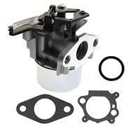 Carkio Carburatore con guarnizione di ricambio per Briggs & Stratton 796608 594287 799248 Tosaerba 11P000 121000 12Q000