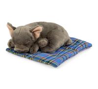 Carl Dick Bulldog francese su cuscino circa 23 cm, peluche, peluche
