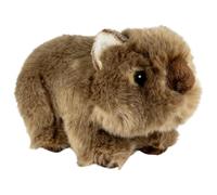 Carl Dick Wombat 20 cm Peluche, peluche morbido, animale di peluche 3779