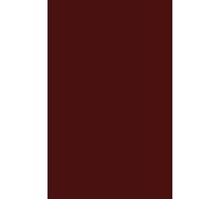 Carl E. Braaten Robert W. Jenson Christian Dogmatics (Copertina rigida)