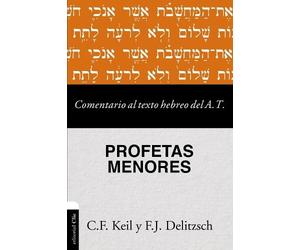 Carl Friedrich Kei Las Comentario al texto hebreo del Antiguo Testa (Tascabile)