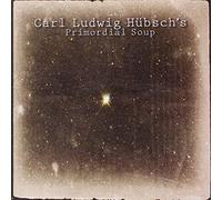 CARL LUDWIG HUBSCH'S - Primordial Soup