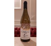 ' Carlaz ' Prima Terra 2018 | Walter De Battè