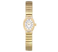 CARLIEN Petite Classic Luxury Arabic Numerals Easy Reader ovale 2 lancette analogico al quarzo cinturino di espansione in acciaio inossidabile elegante orologio da polso impermeabile