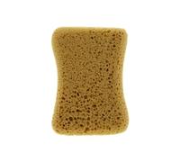 Carlinea Spugna Gran Lavaggio