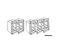 Carling Technologies Cornice singola 14.197.63