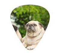 Carlino Amicizia Bokeh Cani Animali Domestici Amici Carlino,12 pezzi di plettri per chitarra, 3 plettri di diverso spessore per chitarra acustica, basso, ukulele