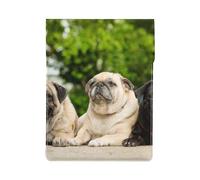 Carlino Amicizia Bokeh Cani Animali Domestici Amici Carlino, Custodia per laptop in pelle PU, borsa per notebook, custodia per laptop, custodia per tablet