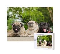 Carlino Amicizia Bokeh Cani Animali Domestici Amici Carlino,Puzzle in legno da 500 pezzi, gioco di famiglia, puzzle per adulti e adolescenti, decorazioni per la casa