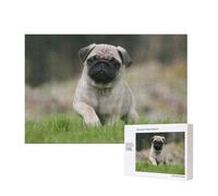 Carlino Bokeh Cuccioli Cani Prato Animali Domestici Carlino,Puzzle in legno da 300 pezzi per famiglie, per adulti e adolescenti, decorazioni per la casa