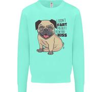 Carlino I Didnt Fart il Mio Sedere Blew Ti Un Bacio Bambini Felpa Maglione