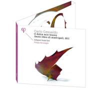 Carlo Gesualdo Carlo Gesualdo: O Dolce Mio Tesoro: Sesto Libro Di Madrigali (CD)
