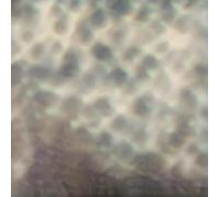 Carlos Cipa - Ourselves, As We Are