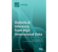 Carlos Fernandez- Statistical Inference from High Dimensiona (Copertina rigida)