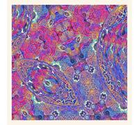 Carlos Niño & Friends Placenta (Vinyl LP)