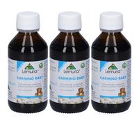 Carmino Baby 100 Ml 3x100 ml Soluzione orale