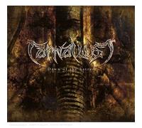 Carnal Lust - Dawn of the Hatred