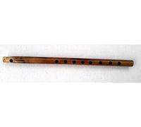 Carnatic Venu Flauto C # Sharp 50 cm 8 fori con rivestimento in velluto e custodia Rexine