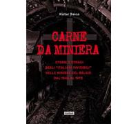 Carne da miniera. Storie e stragi degli «italiani invisibili» nelle miniere del Belgio dal 1946 al 1973