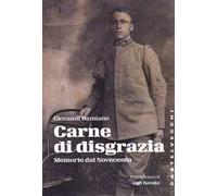 Carne di disgrazia. Memorie dal Novecento