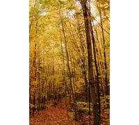 Carnet à Lignes Automnal - Notebook A5, 100 Pages pour Écrire et Noter