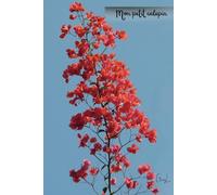 CARNET de NOTES - " Mon petit calepin " - bougainvillée - 100 pages: photo d'art : GuyL'ART / carnet ligné une page sur deux: carnet de croquis, journal intime, journal secret, mémo, aide-mémoire